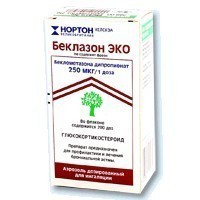 Беклазон Эко, аэрозоль для ингаляций дозированный 100 мкг/доза 200 доз 1 шт